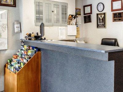 Econo Lodge Frackville Ngoại thất bức ảnh